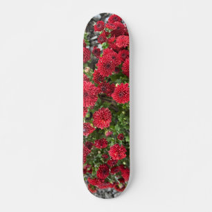 Skateboarddäck Mini Skateboard Bräda 18,5 Cm