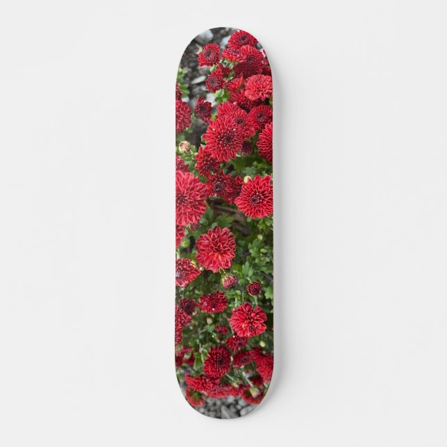 Skateboarddäck Mini Skateboard Bräda 18,5 Cm (Framsida)