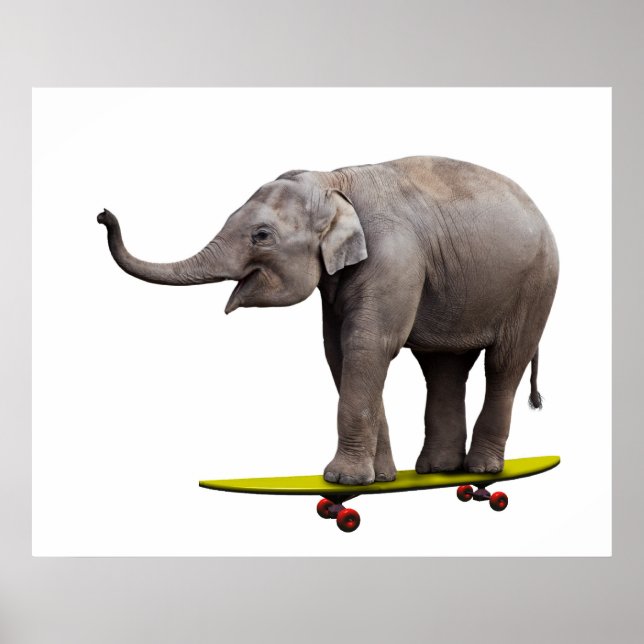 Skateboardelefant Poster (Framsidan)