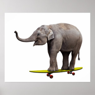 Skateboardelefant Poster