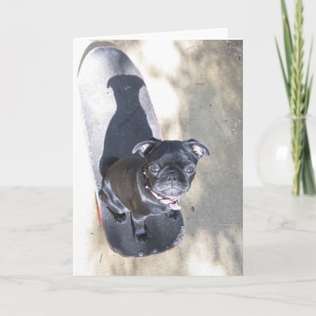 Skateboarding Pug Card (foto) Kort (Framsida)