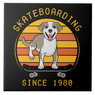 Skateboarding sedan 1980 kakelplatta