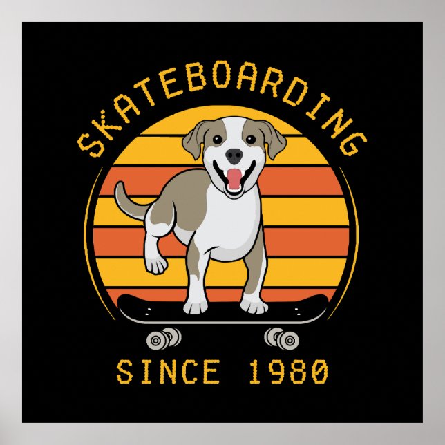Skateboarding sedan 1980 poster (Framsidan)