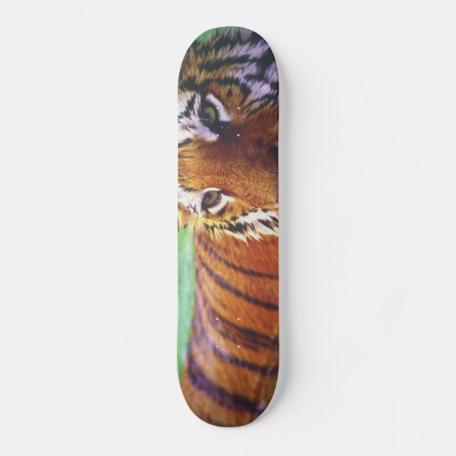 Skateboardtiger Skateboard Bräda 19,5 Cm (Framsida)