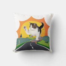Skatebroderad katt