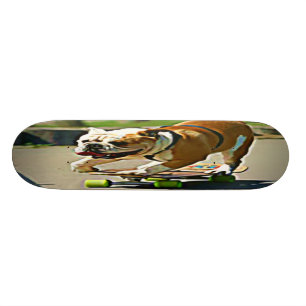 SkaterhundSkateboard Old School Skateboard Bräda 21,6 Cm