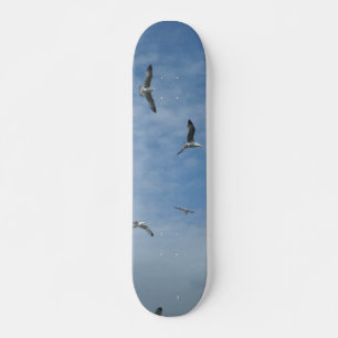 Skattbord för flytande Fiskmåsar Skateboard Bräda 21,5 Cm