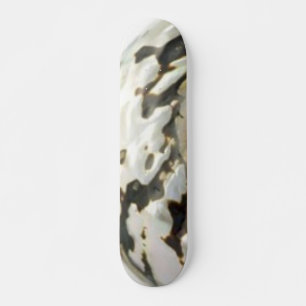 Skattbord för Snäcka till havs Skateboard Bräda 19,5 Cm