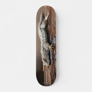 Skattbord med ödla mini skateboard bräda 18,5 cm