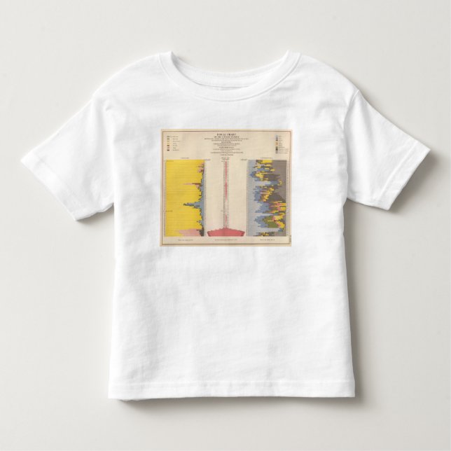 Skatte- kartlägga, den statistiska US-lithographen T Shirt (Framsida)