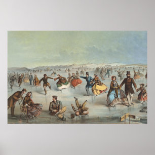 Skatter i Central Park, New York Poster