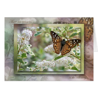 Skatter i det vanliga hälsningskort