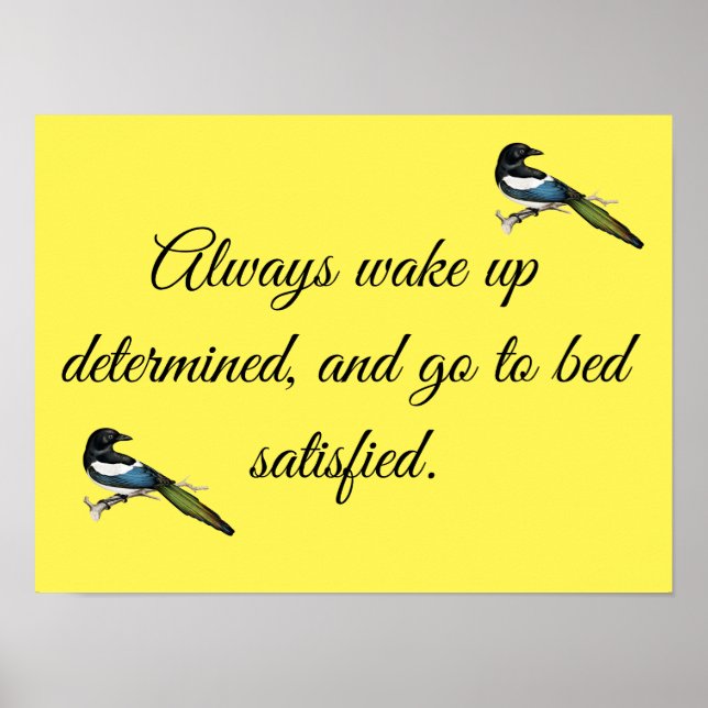 Skaymarts | Skapa din egen Anpassningsbar Poster o (Framsidan)