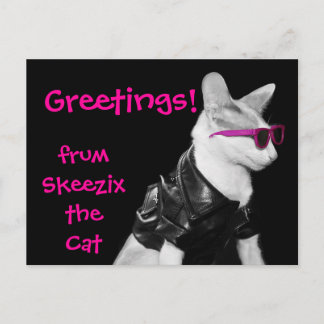 Skeezix kattvykortet vykort