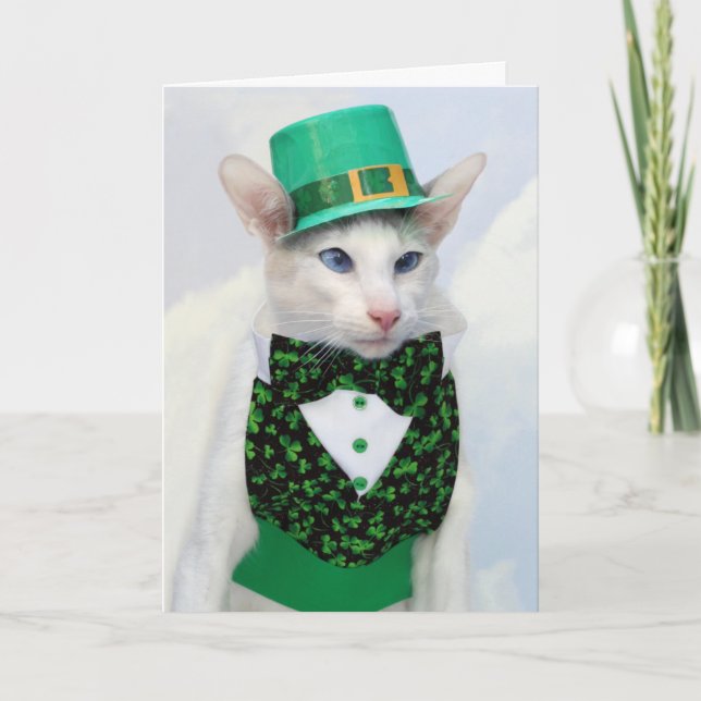Skeezix McCat st patrick's daykort Kort (Framsida)