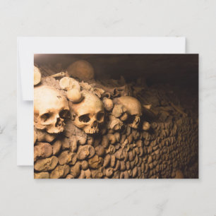 Skeletal Arrangemang, Catacombs of Paris Vykort