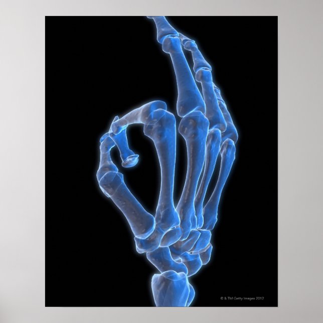 Skeletal Hand Gesture Poster (Framsidan)