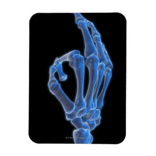 Skeletal räcka gesten magnet
