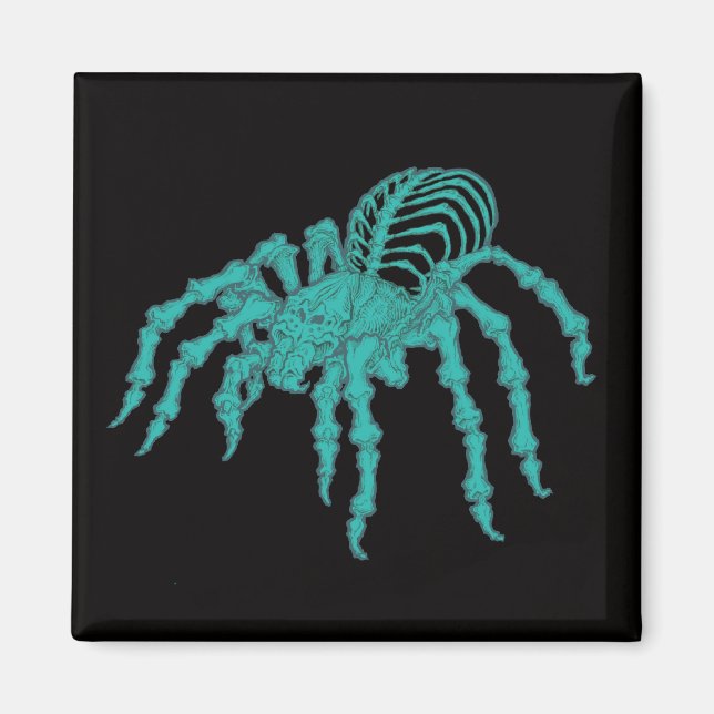 Skeletal Tarantula Magnet (Framsidan)