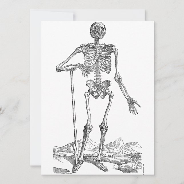 Skeleton (Framsida)
