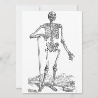Skeleton