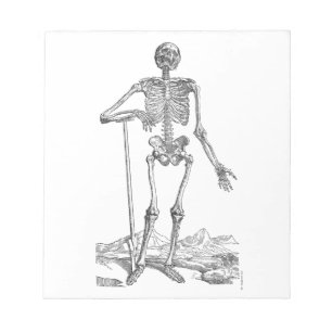 Skeleton Anteckningsblock