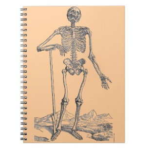 Skeleton Anteckningsbok Med Spiral