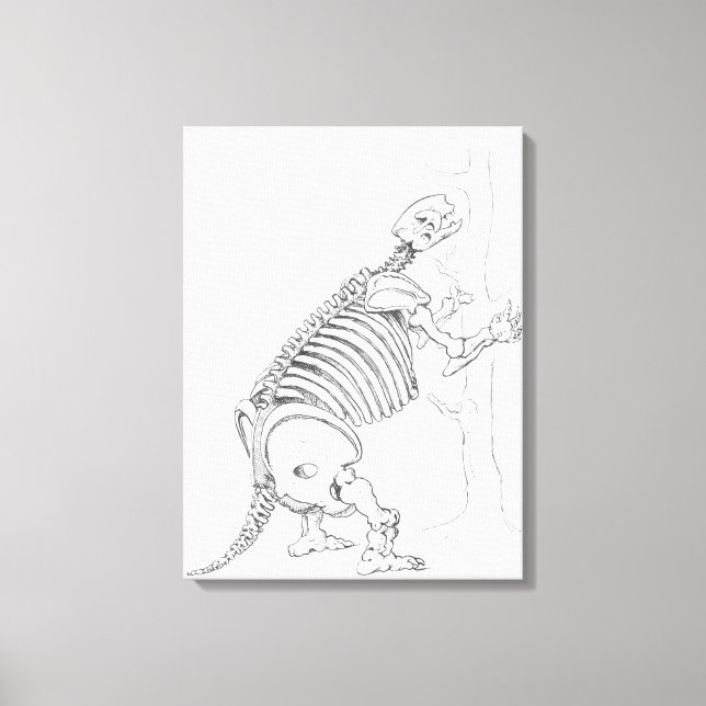 Skeleton av Mylodon Canvastryck (Framsida)