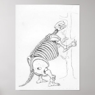 Skeleton av Mylodon Poster