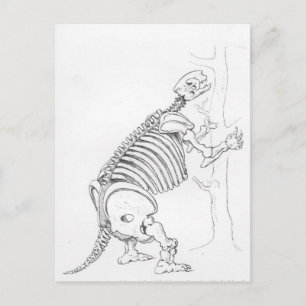 Skeleton av Mylodon Vykort