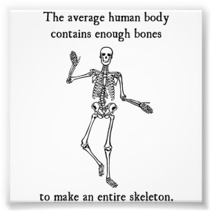 Skeleton- ben i den genomsnittliga mänskliga kropp fototryck