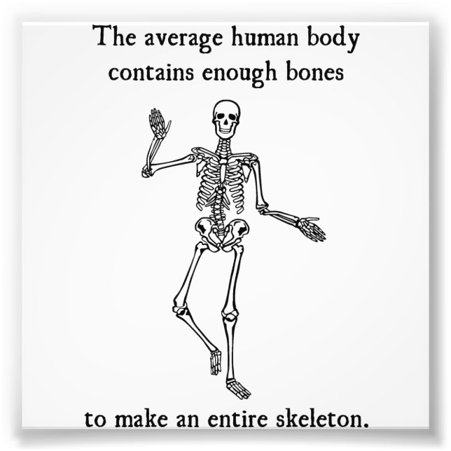 Skeleton- ben i den genomsnittliga mänskliga kropp fototryck (Framsidan)