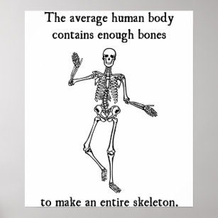 Skeleton- ben i den genomsnittliga mänskliga kropp poster