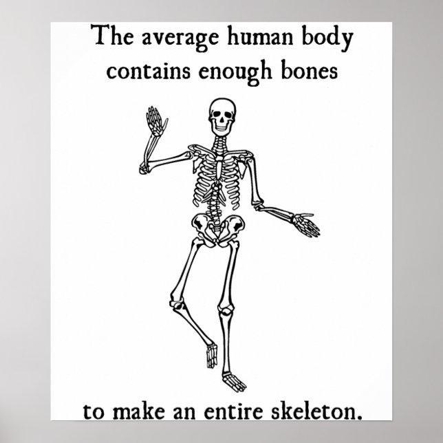 Skeleton- ben i den genomsnittliga mänskliga kropp poster (Framsidan)