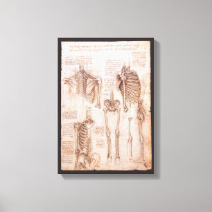 Skeleton-boner av mänskligt anatomi av Leonardo d Canvastryck