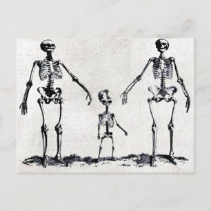 Skeleton-familjvykort Vykort