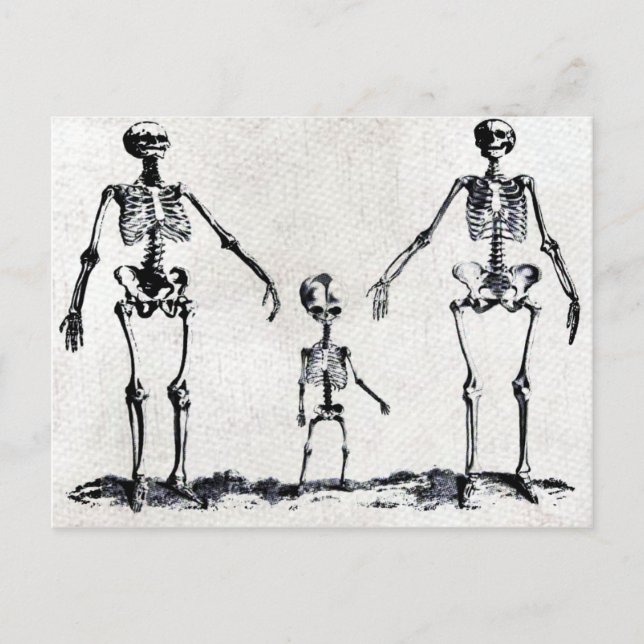 Skeleton-familjvykort Vykort (Framsida)
