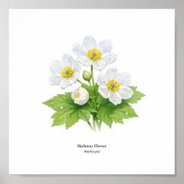 Skeleton Flower Botanical Illustration – Art Print Poster