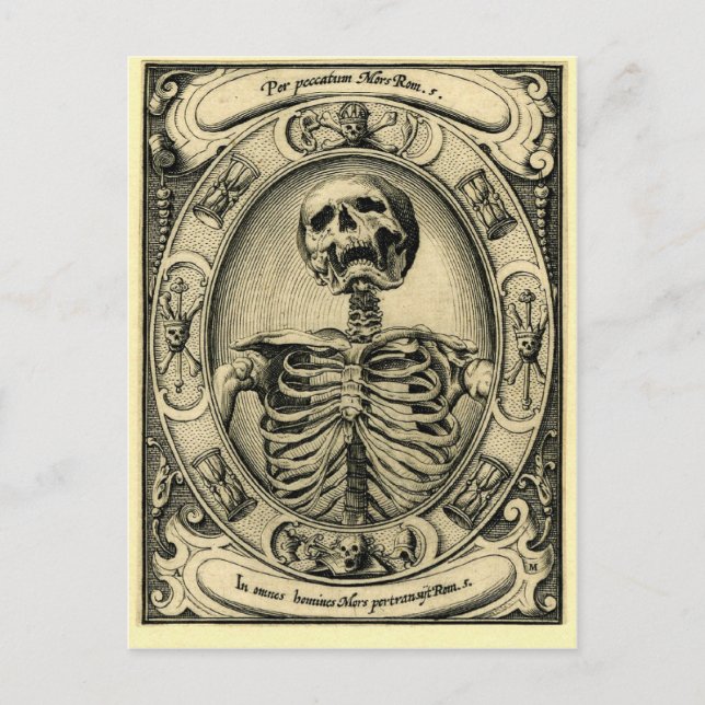 Skeleton, Goth, Medieval Vykort (Framsida)