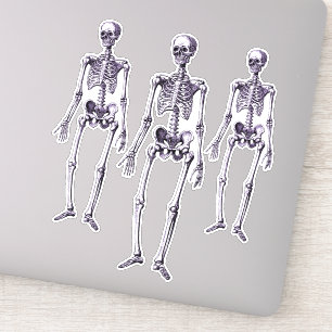 Skeleton Halloween fest dekan av Creepy Lila Skele Klistermärken