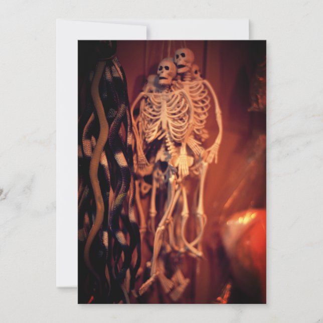 Skeleton Halloween Tivoli View Spara Datumet (Framsida)