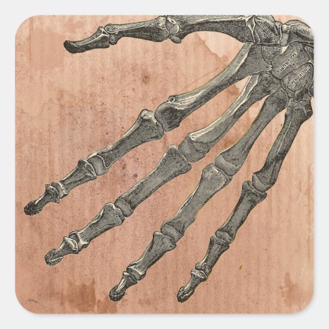 Skeleton Hand Fyrkantigt Klistermärke (Framsida)