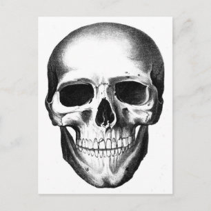 Skeleton Head Scary Creepy Halloween Vykort