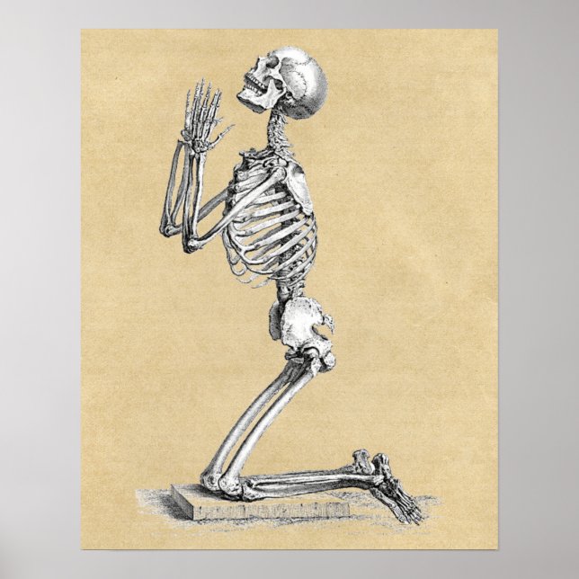 Skeleton i Prayer Medicinskt diagram Poster (Framsidan)