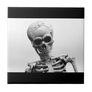 Skeleton Kakelplatta