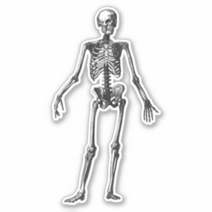 Skeleton Klistermärken