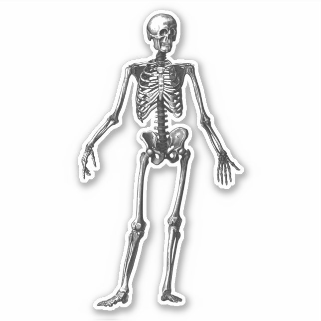 Skeleton Klistermärken (Framsida)