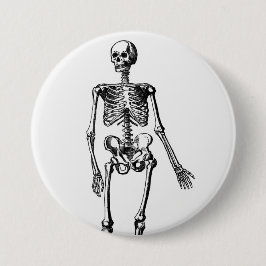 Skeleton Knapp