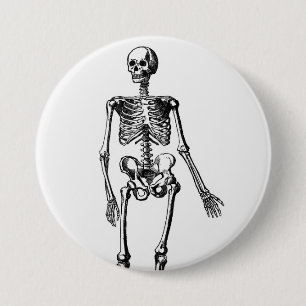 Skeleton Knapp