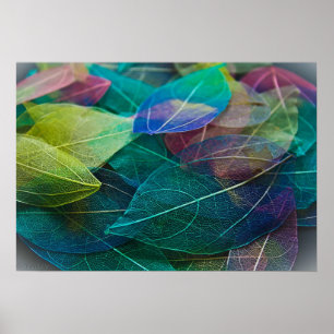 Skeleton Lövs Poster